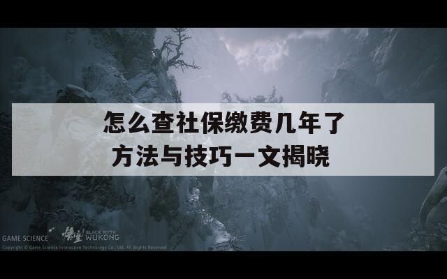 怎么查社保缴费几年了 方法与技巧一文揭晓