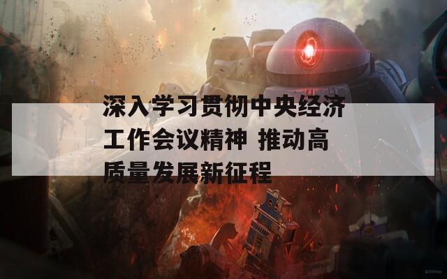深入学习贯彻中央经济工作会议精神 推动高质量发展新征程