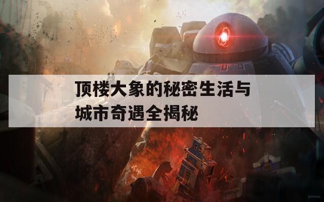 顶楼大象的秘密生活与城市奇遇全揭秘