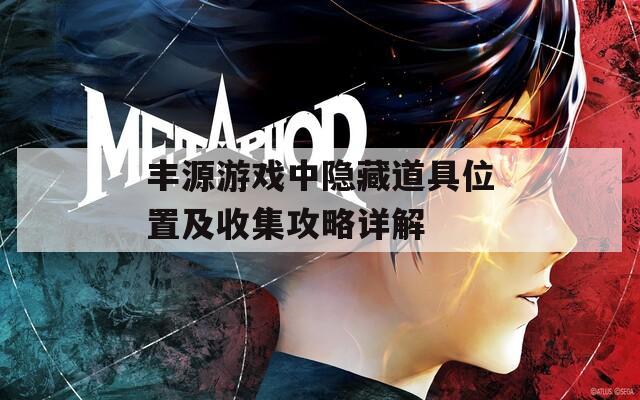 丰源游戏中隐藏道具位置及收集攻略详解