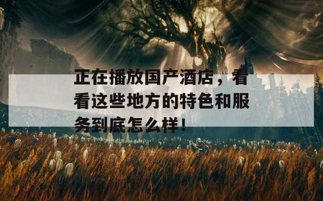 正在播放国产酒店，看看这些地方的特色和服务到底怎么样！