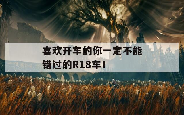 喜欢开车的你一定不能错过的R18车！