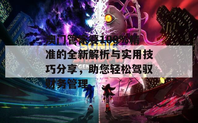 澳门管家婆100%精准的全新解析与实用技巧分享，助您轻松驾驭财务管理