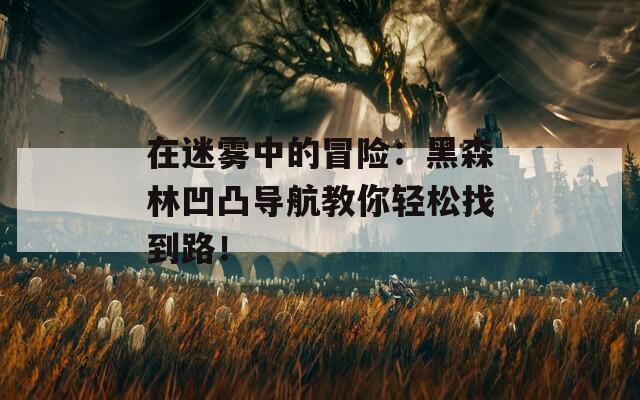 在迷雾中的冒险：黑森林凹凸导航教你轻松找到路！