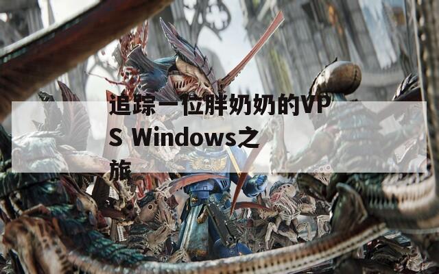 追踪一位胖奶奶的VPS Windows之旅