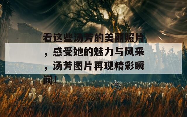看这些汤芳的美丽照片，感受她的魅力与风采，汤芳图片再现精彩瞬间！