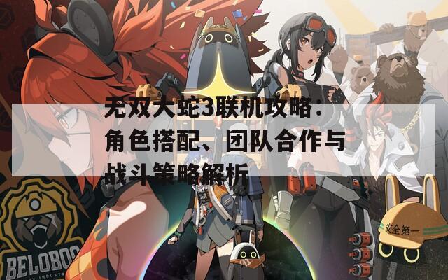 无双大蛇3联机攻略：角色搭配、团队合作与战斗策略解析