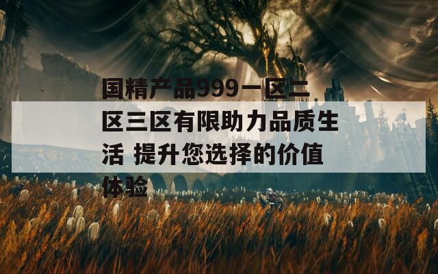 国精产品999一区二区三区有限助力品质生活 提升您选择的价值体验