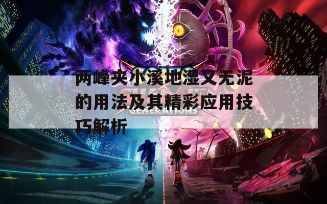 两峰夹小溪地湿又无泥的用法及其精彩应用技巧解析