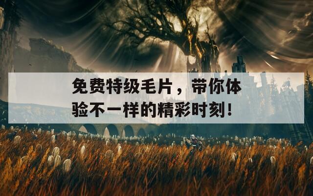 免费特级毛片，带你体验不一样的精彩时刻！