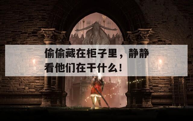 偷偷藏在柜子里，静静看他们在干什么！