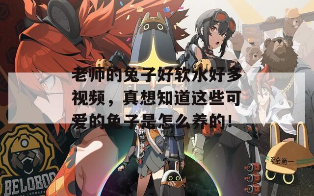 老师的兔子好软水好多视频，真想知道这些可爱的兔子是怎么养的！