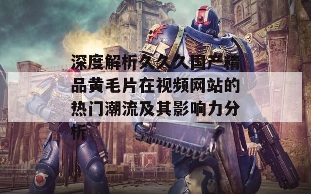 深度解析久久久国产精品黄毛片在视频网站的热门潮流及其影响力分析