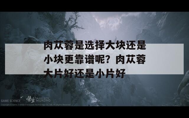 肉苁蓉是选择大块还是小块更靠谱呢？肉苁蓉大片好还是小片好