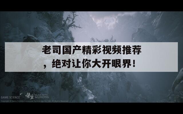 老司国产精彩视频推荐，绝对让你大开眼界！