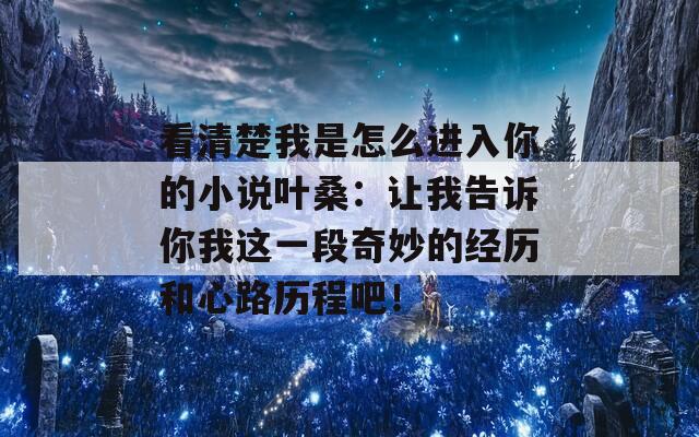 看清楚我是怎么进入你的小说叶桑：让我告诉你我这一段奇妙的经历和心路历程吧！