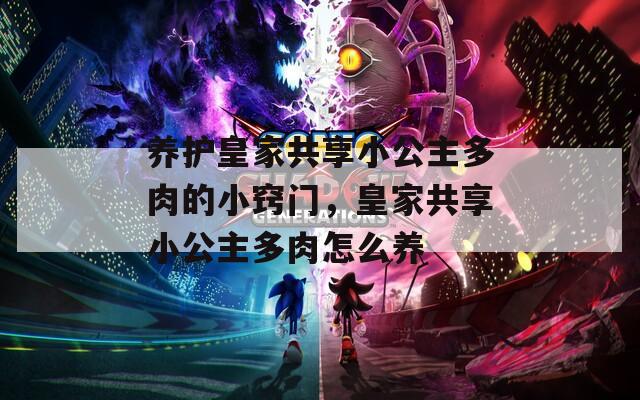 养护皇家共享小公主多肉的小窍门，皇家共享小公主多肉怎么养