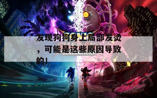 发现狗狗身上局部发烫，可能是这些原因导致的！