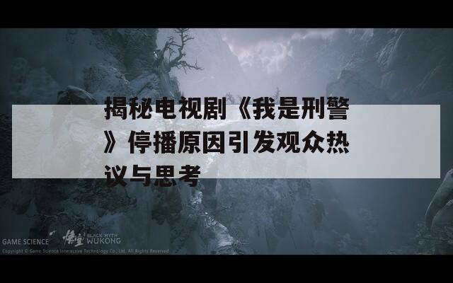 揭秘电视剧《我是刑警》停播原因引发观众热议与思考