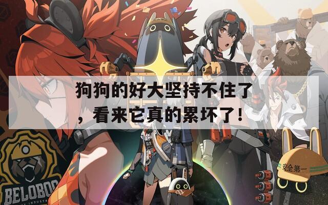 狗狗的好大坚持不住了，看来它真的累坏了！