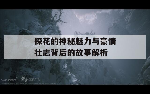 探花的神秘魅力与豪情壮志背后的故事解析