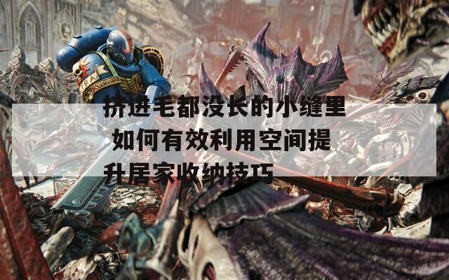 挤进毛都没长的小缝里 如何有效利用空间提升居家收纳技巧