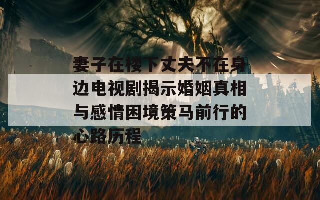 妻子在楼下丈夫不在身边电视剧揭示婚姻真相与感情困境策马前行的心路历程