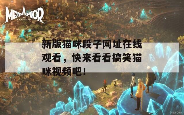 新版猫咪段子网址在线观看，快来看看搞笑猫咪视频吧！