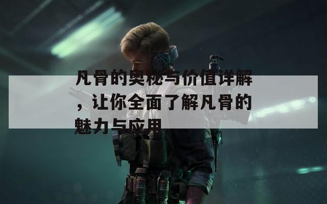 凡骨的奥秘与价值详解，让你全面了解凡骨的魅力与应用