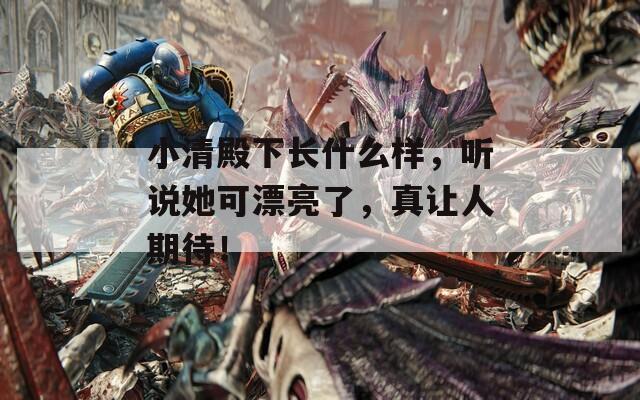 小清殿下长什么样，听说她可漂亮了，真让人期待！