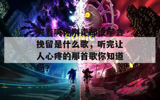 哭着喊你别走却没学会挽留是什么歌，听完让人心疼的那首歌你知道吗？