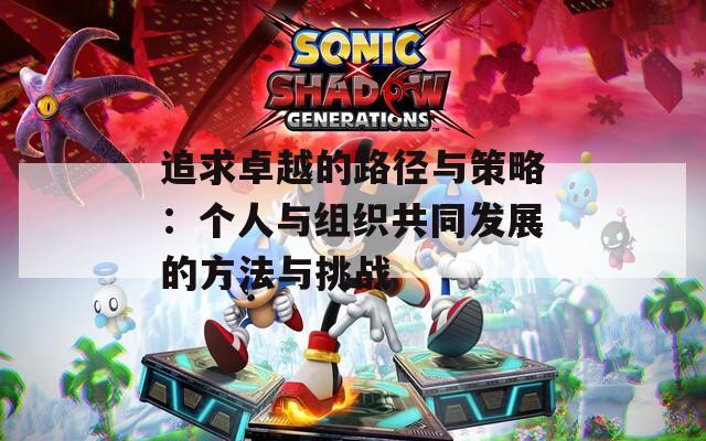 追求卓越的路径与策略：个人与组织共同发展的方法与挑战