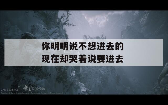 你明明说不想进去的 现在却哭着说要进去