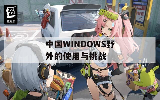 中国WINDOWS野外的使用与挑战