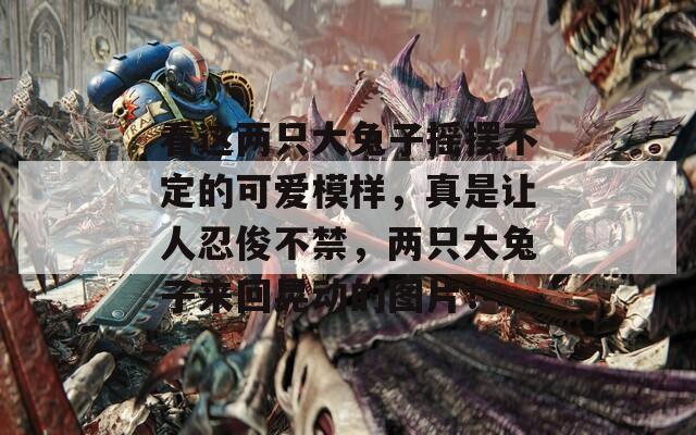 看这两只大兔子摇摆不定的可爱模样，真是让人忍俊不禁，两只大兔子来回晃动的图片！