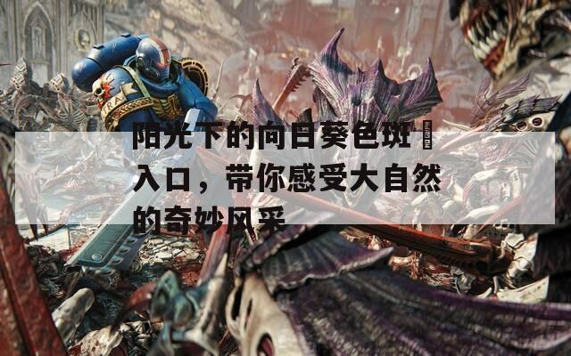 阳光下的向日葵色斑卐入口，带你感受大自然的奇妙风采