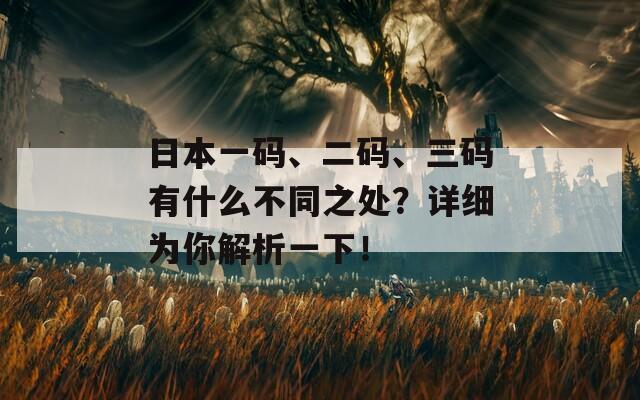 日本一码、二码、三码有什么不同之处？详细为你解析一下！