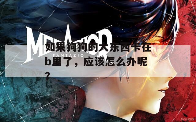 如果狗狗的大东西卡在b里了，应该怎么办呢？