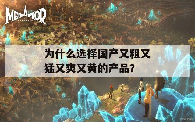 为什么选择国产又粗又猛又爽又黄的产品？