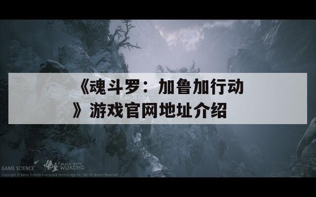 《魂斗罗：加鲁加行动》游戏官网地址介绍