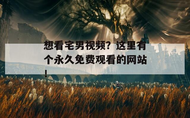 想看宅男视频？这里有个永久免费观看的网站！