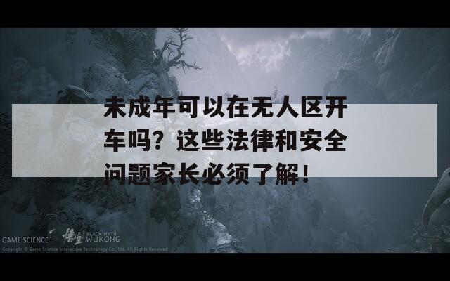 未成年可以在无人区开车吗？这些法律和安全问题家长必须了解！