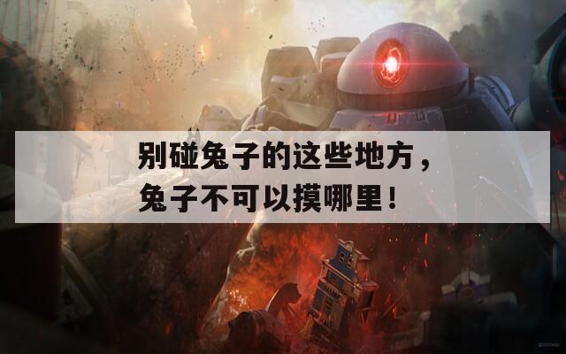 别碰兔子的这些地方，兔子不可以摸哪里！