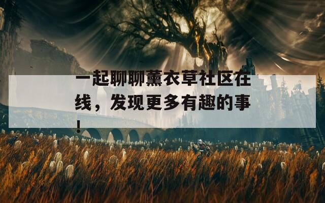 一起聊聊薰衣草社区在线，发现更多有趣的事！