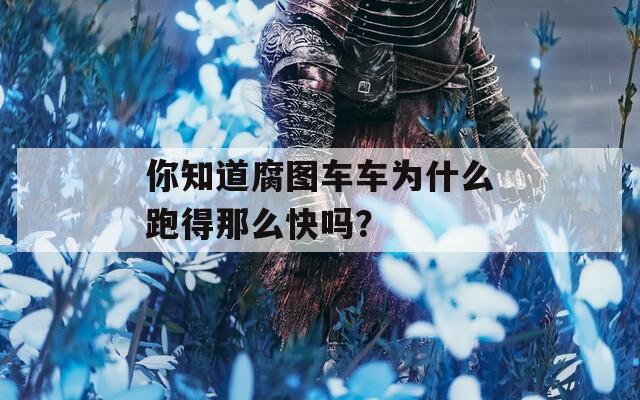 你知道腐图车车为什么跑得那么快吗？