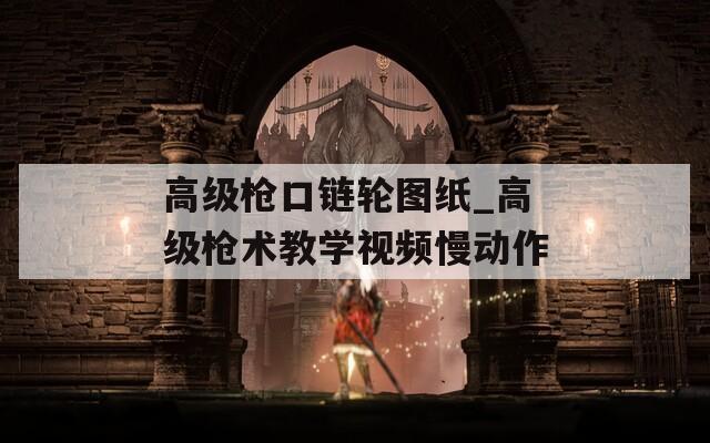 高级枪口链轮图纸_高级枪术教学视频慢动作