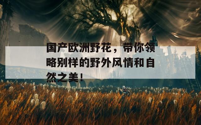 国产欧洲野花，带你领略别样的野外风情和自然之美！