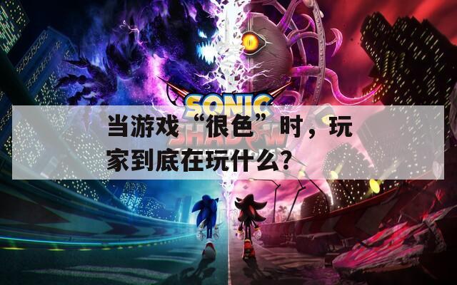 当游戏“很色”时，玩家到底在玩什么？